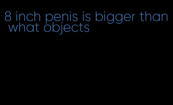 8 inch penis is bigger than what objects