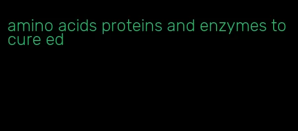 amino acids proteins and enzymes to cure ed