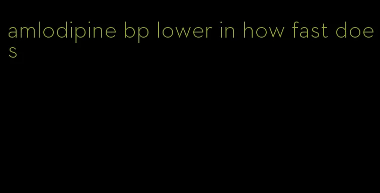 amlodipine bp lower in how fast does