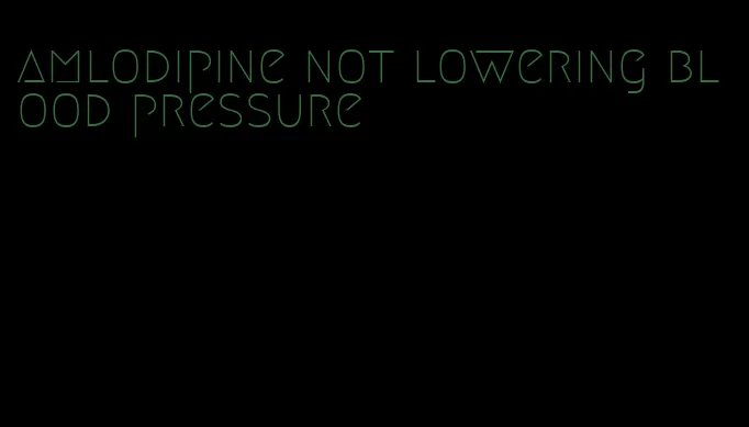 amlodipine not lowering blood pressure