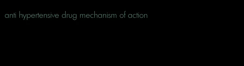 anti hypertensive drug mechanism of action