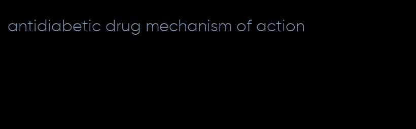 antidiabetic drug mechanism of action