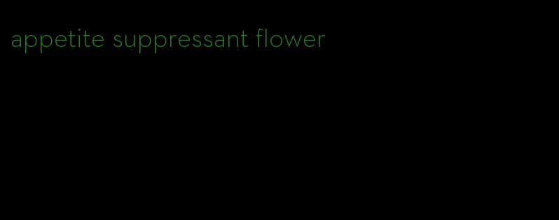 appetite suppressant flower