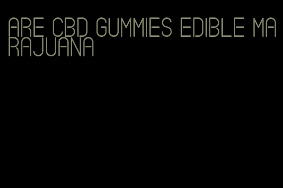 are cbd gummies edible marajuana