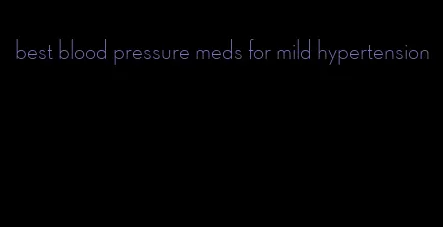 best blood pressure meds for mild hypertension