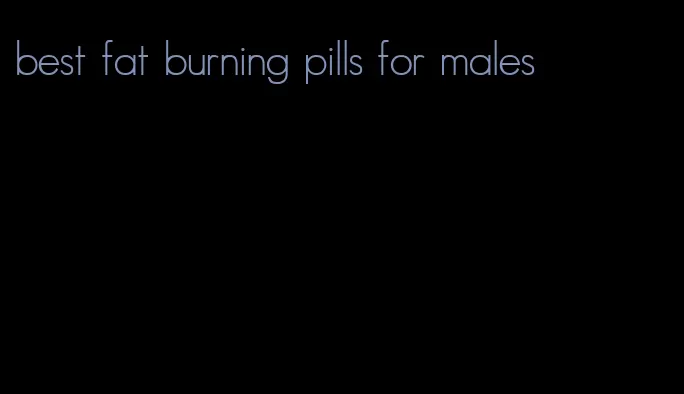 best fat burning pills for males