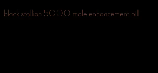 black stallion 5000 male enhancement pill