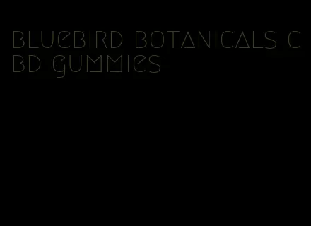 bluebird botanicals cbd gummies