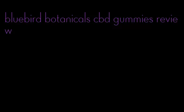 bluebird botanicals cbd gummies review