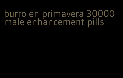 burro en primavera 30000 male enhancement pills