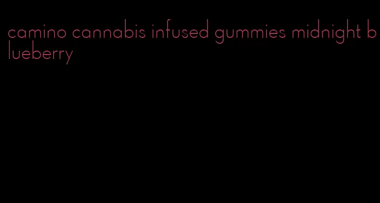 camino cannabis infused gummies midnight blueberry