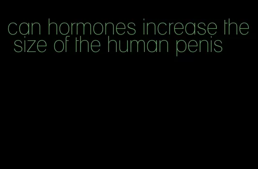 can hormones increase the size of the human penis