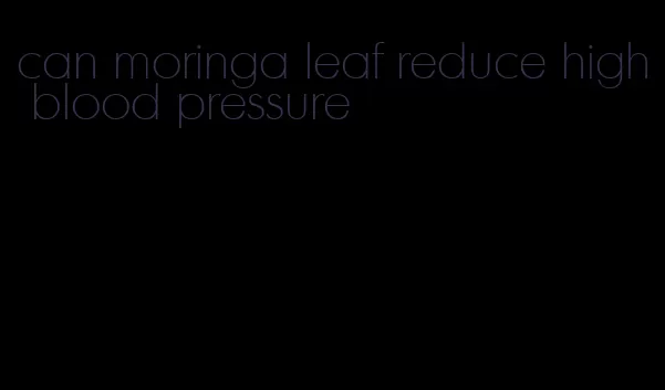 can moringa leaf reduce high blood pressure