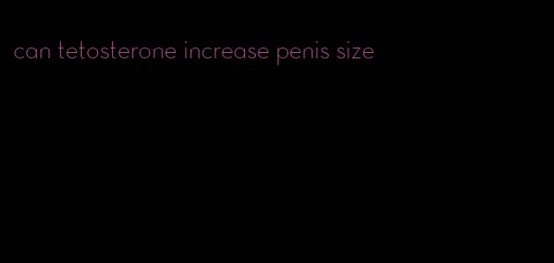 can tetosterone increase penis size