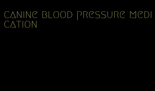 canine blood pressure medication