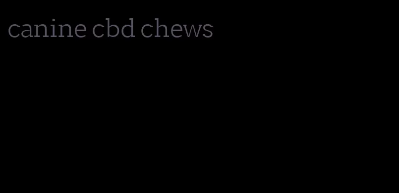 canine cbd chews