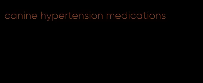 canine hypertension medications