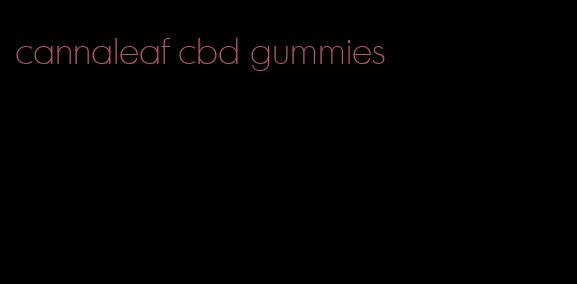 cannaleaf cbd gummies