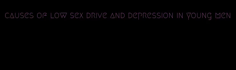 causes of low sex drive and depression in young men