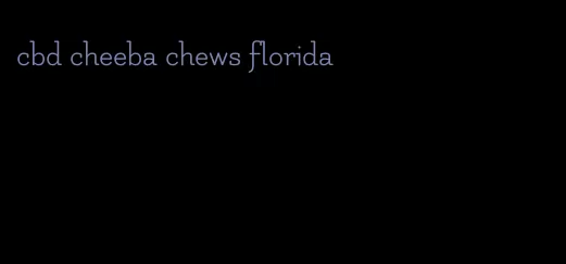 cbd cheeba chews florida