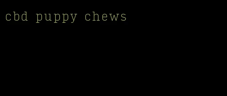 cbd puppy chews