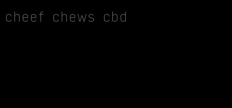 cheef chews cbd