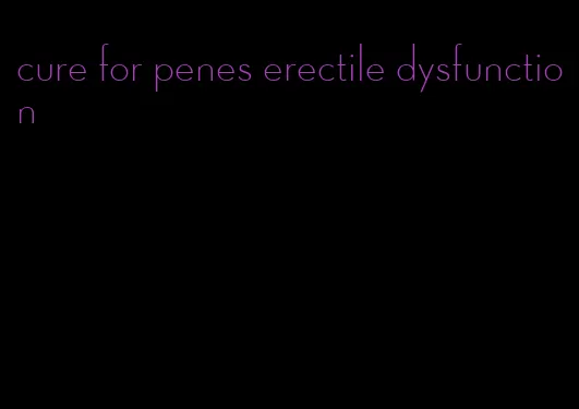 cure for penes erectile dysfunction