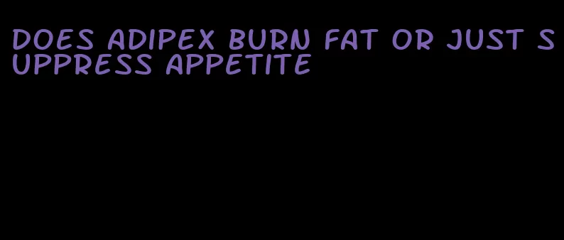 does adipex burn fat or just suppress appetite