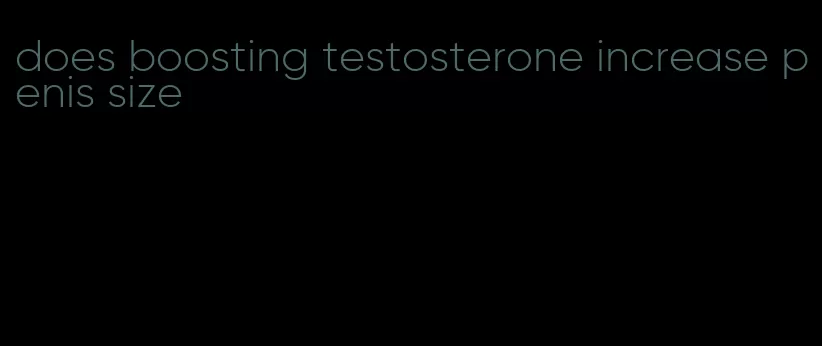 does boosting testosterone increase penis size