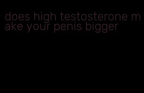 does high testosterone make your penis bigger