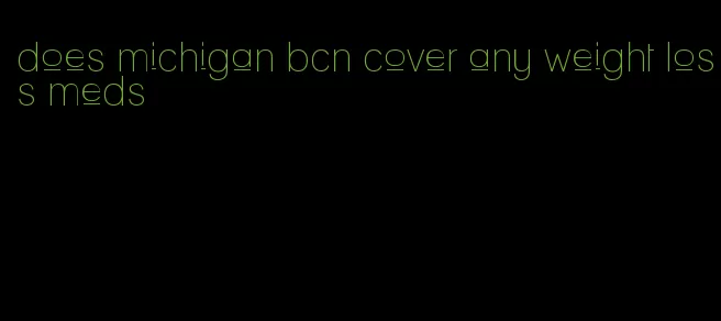 does michigan bcn cover any weight loss meds