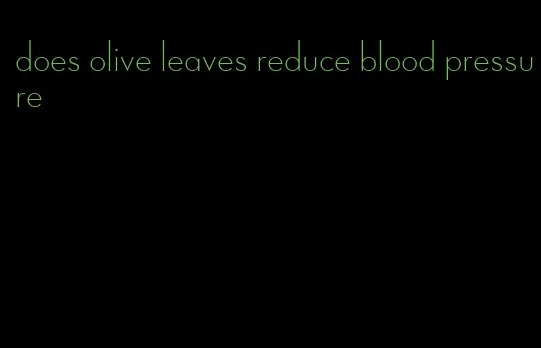 does olive leaves reduce blood pressure