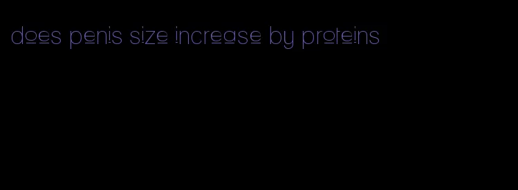 does penis size increase by proteins