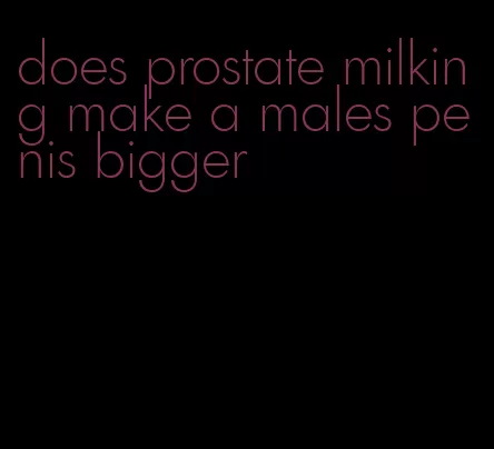 does prostate milking make a males penis bigger