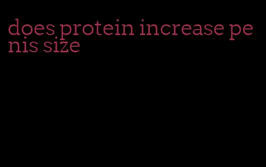 does protein increase penis size