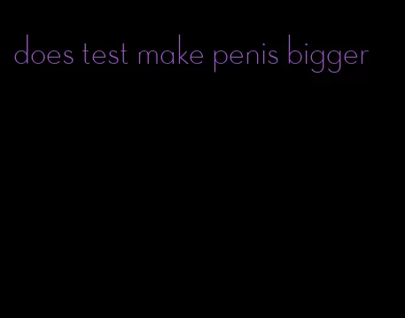 does test make penis bigger