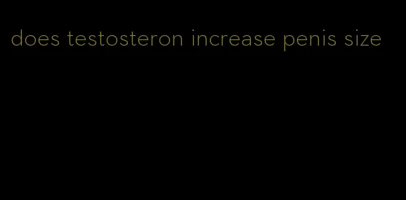 does testosteron increase penis size