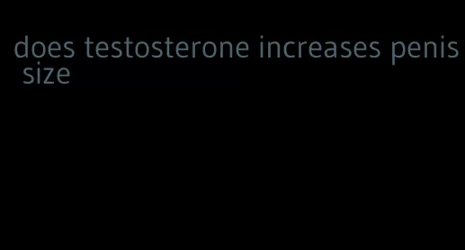 does testosterone increases penis size