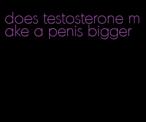 does testosterone make a penis bigger