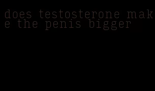 does testosterone make the penis bigger