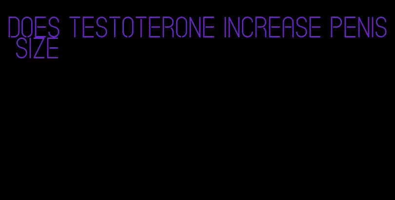 does testoterone increase penis size