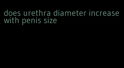 does urethra diameter increase with penis size