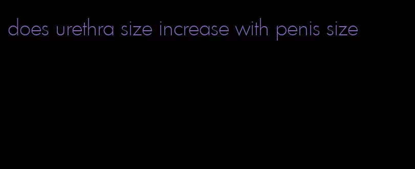 does urethra size increase with penis size