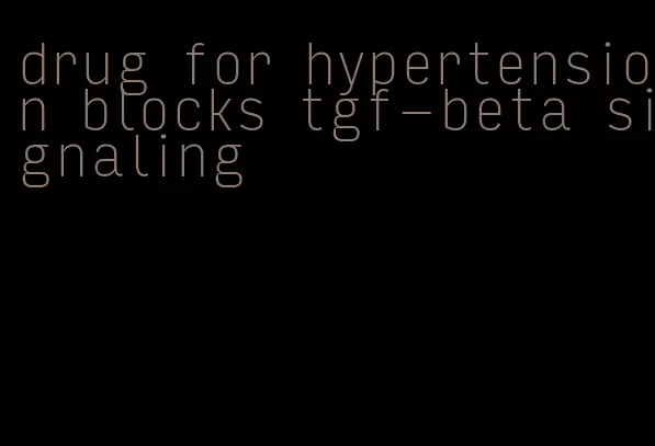 drug for hypertension blocks tgf-beta signaling