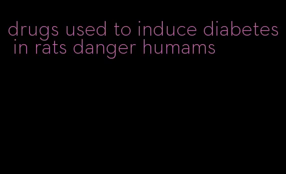 drugs used to induce diabetes in rats danger humams