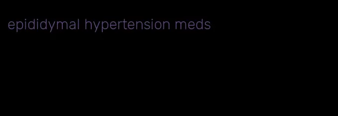 epididymal hypertension meds