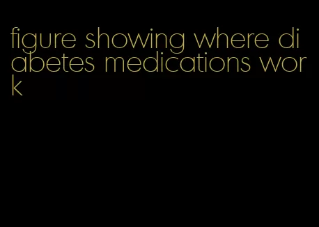 figure showing where diabetes medications work