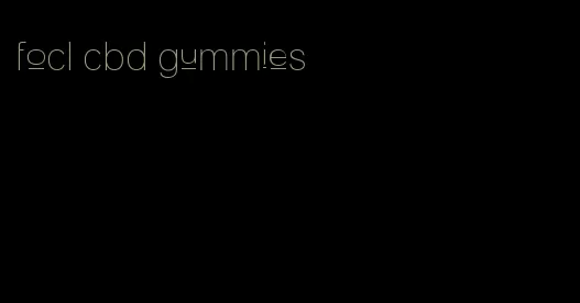 focl cbd gummies