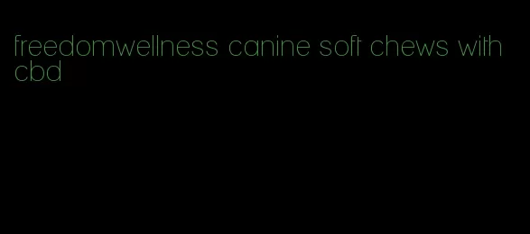 freedomwellness canine soft chews with cbd