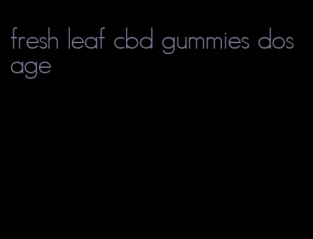 fresh leaf cbd gummies dosage